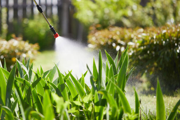 24/7 Emergency Mosquito Control experts in Plentywood, MT